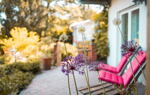 Bellersheim Bed & Breakfast | Cozy Bed & Breakfast Unter den Linden with Ocean Views