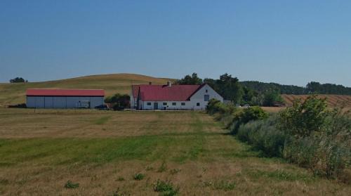 Kaseberga Bed & Breakfast | Pet-Friendly Retreat at Bed & Breakfast Vinkille - 4 Stars