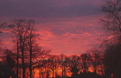 Municipality of Laarbeek Bed & Breakfast | Cozy Bed and Breakfast Donkersvoort - 9/10 Guest Rated Stay