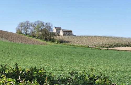 Maastricht Bed & Breakfast | Cozy Bed and Breakfast Hof van Wolder with Great Amenities