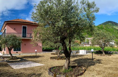 Zafferana Etnea Bed & Breakfast | Unforgettable Stay at Bee Happy Bed and Breakfast
