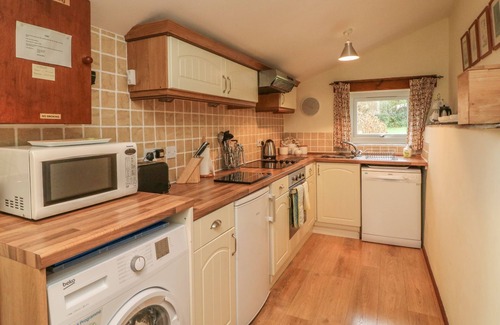 Ilfracombe Cottage | Pet-Friendly Beech Cottage with Ocean View in Combe Martin