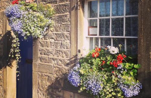 Castleton House | Discover Beech Croft Holiday Cottage - Pet Friendly Getaway