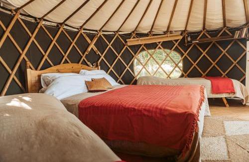 Haslemere Other | Unforgettable Stay at Beech Yurt - Child Friendly & Cozy