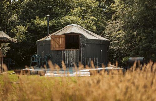 Haslemere Other | Unforgettable Stay at Beech Yurt - Child Friendly & Cozy