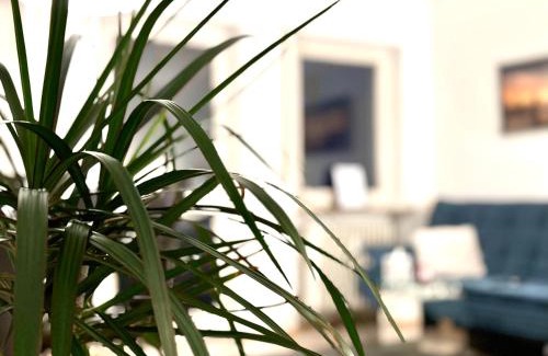 Pocking Apartment | BeeFree Thermen und Golf: Pet-Friendly with Ocean Views