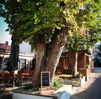 Worth an der Donau Hotel | Pet-Friendly Retreat at beim Butz with Great Amenities