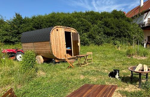 Strem House | Explore Kellerstöckl - Pet-Friendly Retreat with Dining & Spa