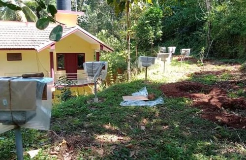 Bovikanam Apartment | Budget-Friendly Bekal Muliyar Home Stay with Great Reviews
