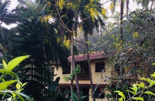 Bovikanam Apartment | Budget-Friendly Bekal Muliyar Home Stay with Great Reviews
