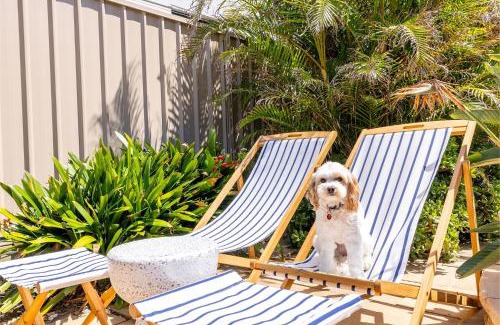 Anna Bay House | Bel Air, 8A Ocean Ave - Pet Friendly with Beautiful Water Views