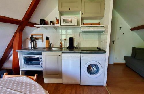 Peyragudes Apartment | Bel appartement T2 cabine
