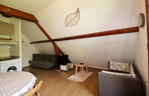Peyragudes Apartment | Bel appartement T2 cabine