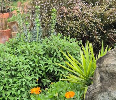 Trebes Hotel | Relax at Bel Hotel la Gentilhommière with Ocean Views