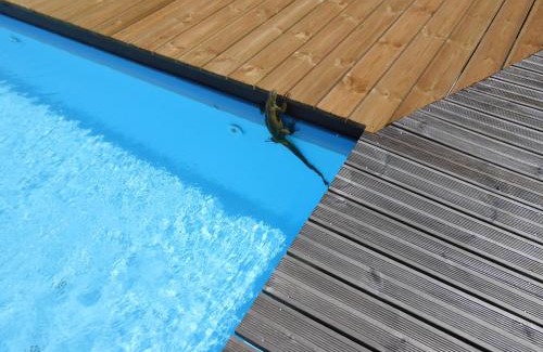 Trois-Rivieres House | Discover Bel Z 'Iguane: Family-Friendly Oceanfront Escape