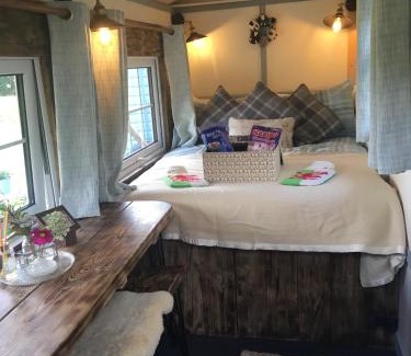 Llanidloes Cabin | Enchanting Belan Bluebell Woods Hut with Hot Tub & More