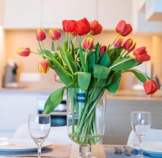 Westende Apartment | Welcome to Belcasa Family Suites & Lofts: Oceanview Getaway