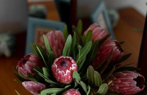 Grabouw House | Family-Friendly Belfield Wines with Kitchen & Accessibility