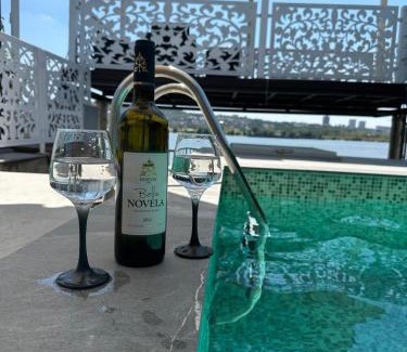 Palilula Villa | Idyllic Belgrade River House with Oceanfront Views