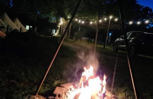 Netley Other | Experience Bell Tent Glamping at Royal Victoria Park