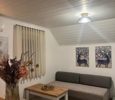 Podcetrtek Apartment | Pet-Friendly Bella Mura Nature Apartment - Guest Rated 9.8
