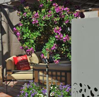Limone sul Garda Apartment | Experience Bella Vacanza Limone: Family & Pet Friendly Haven