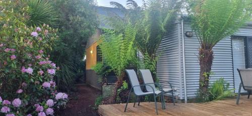 Scottsdale Apartment | Pet-Friendly Bella Villa: A 4-Star Guest Favorite!