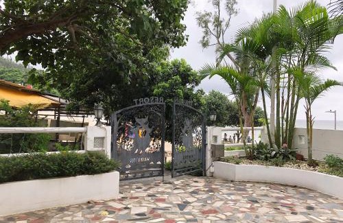 Islands District Resort | Pet-Friendly Oceanfront Getaway at Bellagio Resort