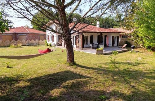 Mezos House | Discover Family-Friendly Comfort at Belle de Mai Hotel