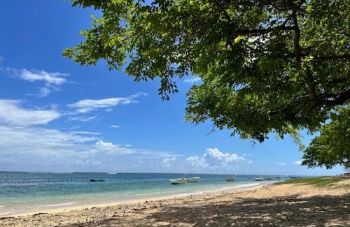 Mont Choisy Apartment | Beautiful Belle Haven 1-Bedroom Flat with Ocean View