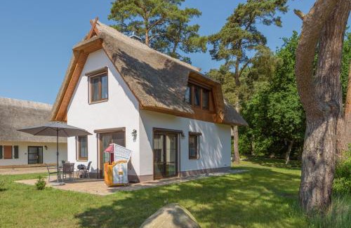 Zirchow House | Bellis Perennis: Oceanfront Family Retreat with 10/10 Rating