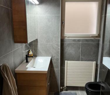 Morcote Apartment | Beautiful Apartment with Lake Garden in Lugano