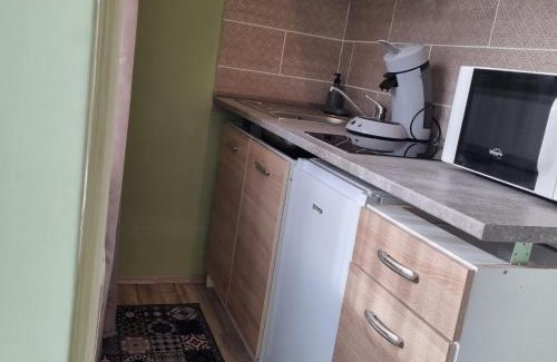 Bekescsaba Apartment | Belvárosi Pihenőház: Eco-Friendly Retreat with Ocean Views