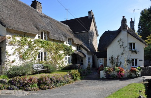 Liverton Cabin | Belvedere Edge in Devon: Pet-Friendly Retreat with Ocean Views