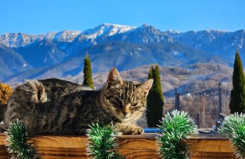 Moieciu Hotel | Relax at Belvedere Resort Moieciu with Pool & Hot Tub