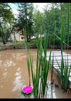 Capalnita Apartment | Exceptional Bencekerti Kulcsosház: Family-Friendly Retreat