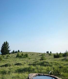 Capalnita Apartment | Exceptional Bencekerti Kulcsosház: Family-Friendly Retreat