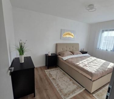 Alba Iulia House | Benchea's House