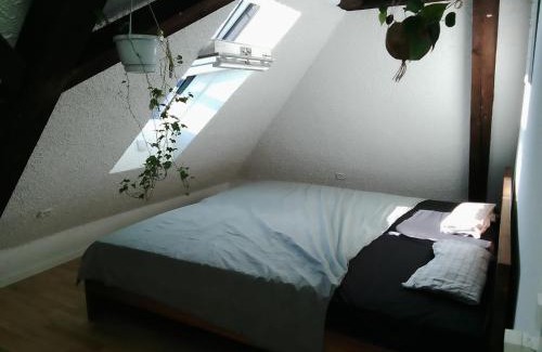Binningen House | Bequemes, ruhiges Zimmer mit Doppelbett in der Nähe des Zentrums und des Bahnhofs