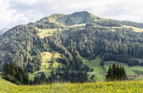 Faschina Apartment | Family-Friendly Berg Aparts Faschina with 9/10 Guest Rating