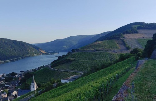 Mainz-Bingen Hotel | Discover Comfort at Berg's Backpacker: Pet Friendly & Hot Tub