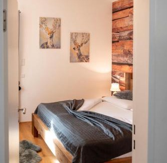 Pfarrwerfen Apartment | Family-Friendly Berg&Selig Apartment with Hot Tub & High Rating