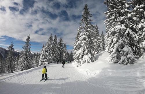 Pruggern Ski Chalet | Discover Bergchalet Dein Paradies: 4-Star Pet-Friendly Retreat