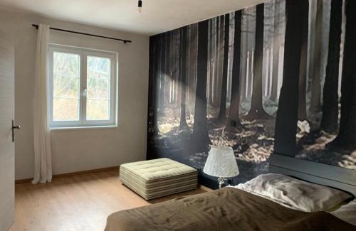 Hinterstoder Ski Chalet | Cozy Bergchalet Hinterstoder: Family-Friendly Getaway