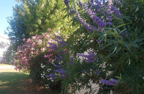 Arles Bed & Breakfast | Charming Bergerie d'Alivon in Camargue with Dining Options