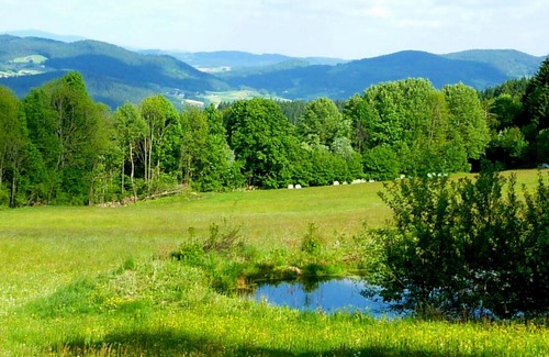 Patersdorf Hotel | Top-Rated Berggasthof Schön: Wheelchair Accessible & Breakfast