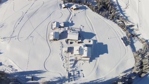 Sankt Martin am Tennengebirge Hotel | Discover Berghotel Lämmerhof: Pet-Friendly Retreat