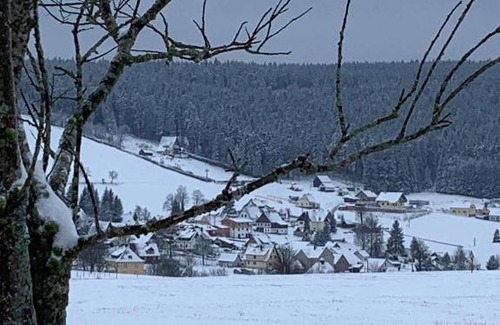 Eibenstock House | Unforgettable Stay at Berghaus Carlsfeld - 10/10 Rating