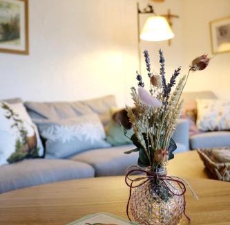 Todtnauberg Apartment | Berghof Almzeit - Fewo "Hüsli", Sauna, Todtnauberg, Feldberg