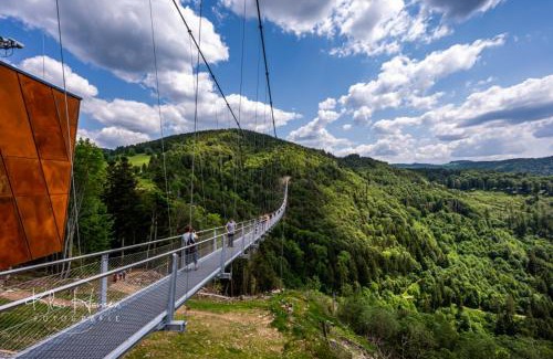 Todtnauberg Apartment | Relaxing Getaway at Berghof Almzeit - Wellness & Sauna